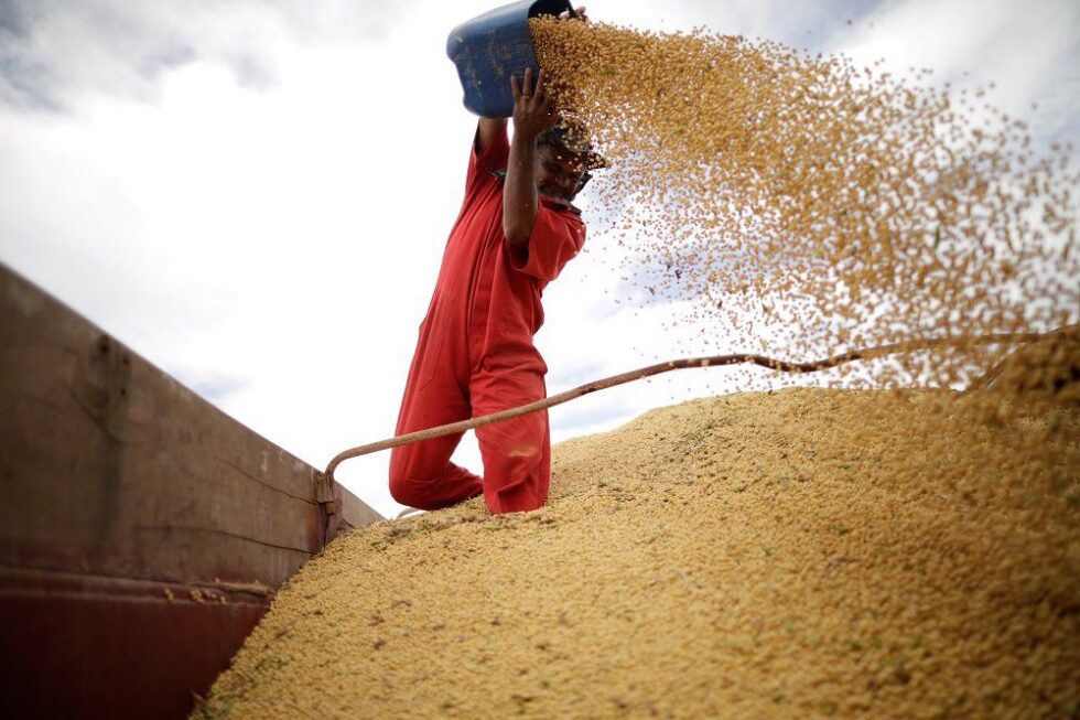 Como mudanças na China podem afetar o agronegócio e a economia do Brasil